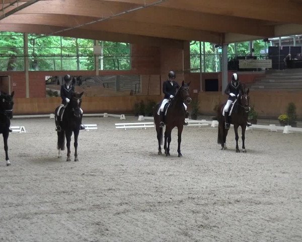 Reitturnier Mönchengladbach-Wickrath 2017