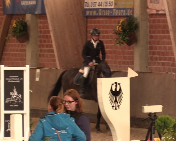 Reitturnier Hüllhorst 2017