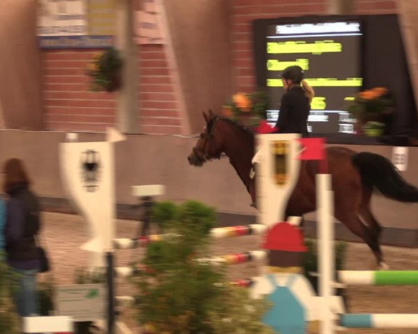 Reitturnier Hüllhorst 2017