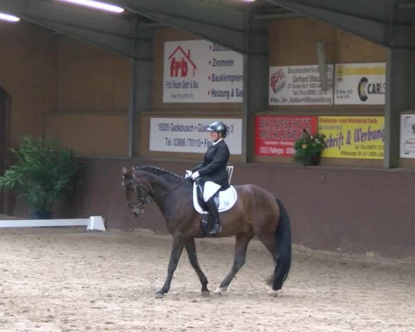 Reitturnier Gadebusch 2017