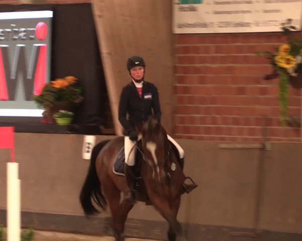 Reitturnier Hüllhorst 2017