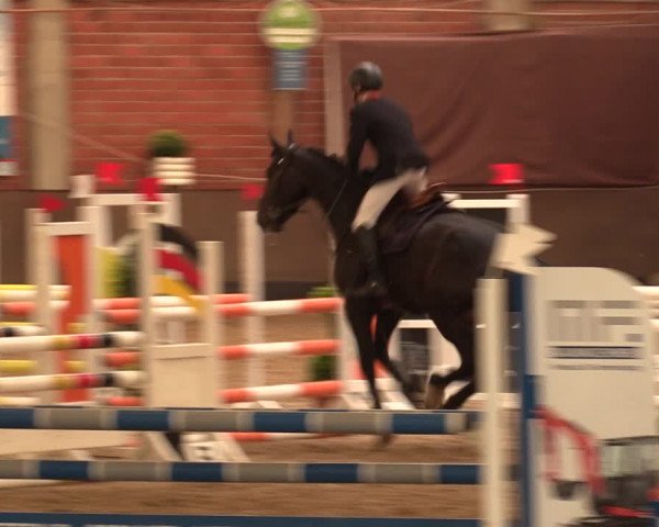 Reitturnier Hüllhorst 2017
