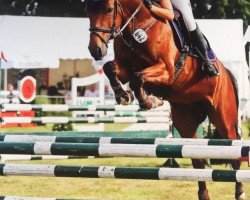jumper Zazou - Minou (KWPN (Royal Dutch Sporthorse), 2013, from Zavall VDL)