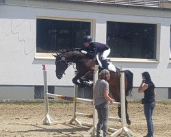 jumper Caretello's Peak (Bavarian, 2012, from Caretello B)