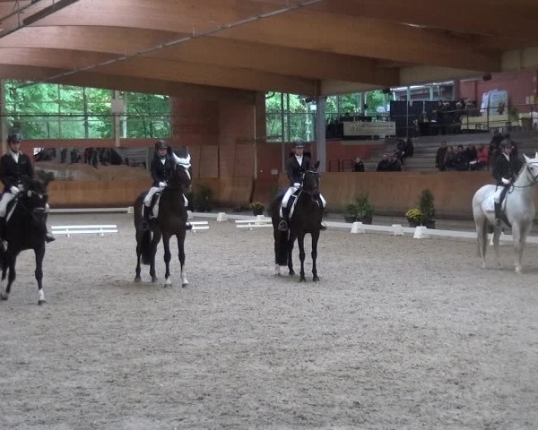 Reitturnier Mönchengladbach-Wickrath 2017