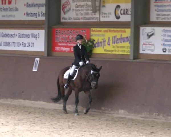 Reitturnier Gadebusch 2017