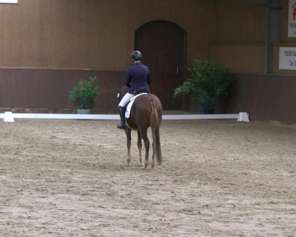 Reitturnier Gadebusch 2017
