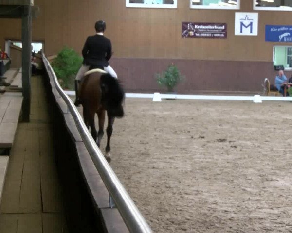 Reitturnier Gadebusch 2017