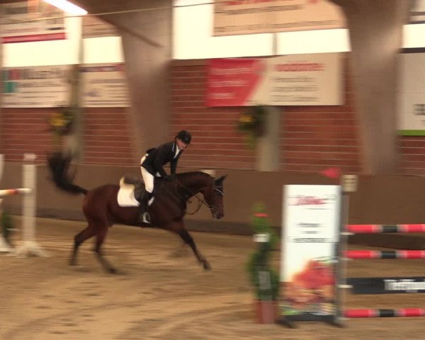 Reitturnier Hüllhorst 2017