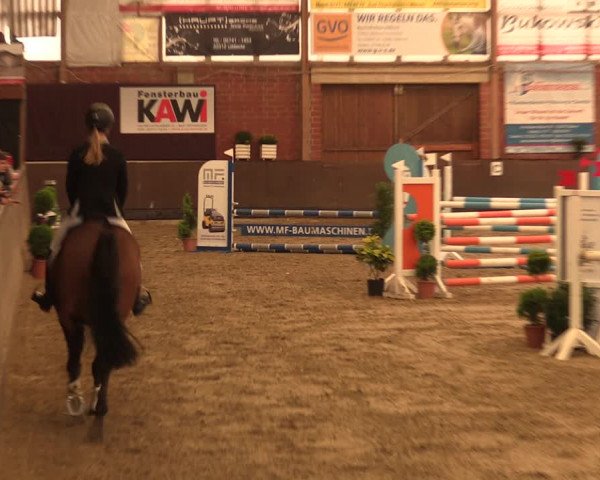 Reitturnier Hüllhorst 2017