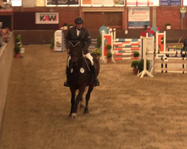 Reitturnier Hüllhorst 2017