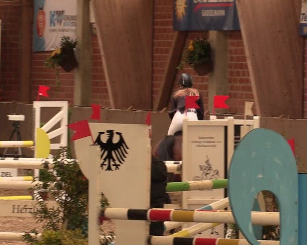 Reitturnier Hüllhorst 2017