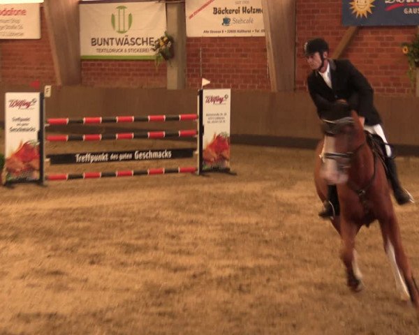 Reitturnier Hüllhorst 2017