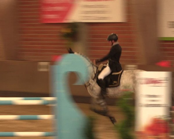 Reitturnier Hüllhorst 2017
