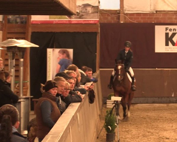 Reitturnier Hüllhorst 2017