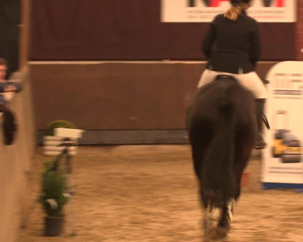 Reitturnier Hüllhorst 2017