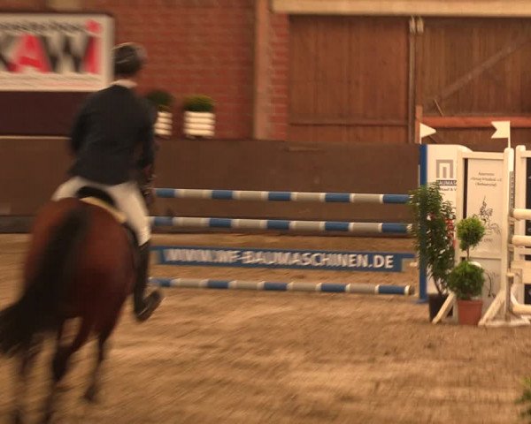 Reitturnier Hüllhorst 2017