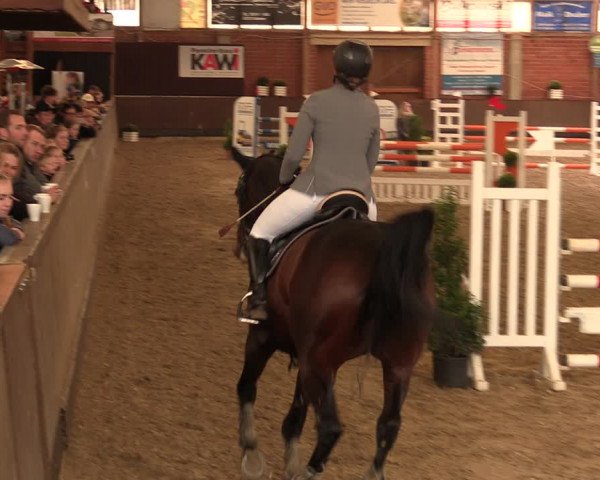 Reitturnier Hüllhorst 2017