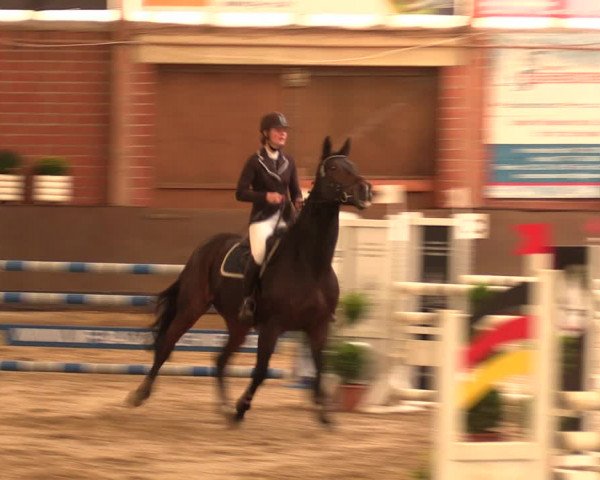 Reitturnier Hüllhorst 2017