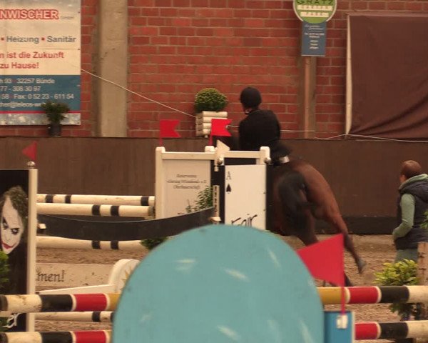 Reitturnier Hüllhorst 2017