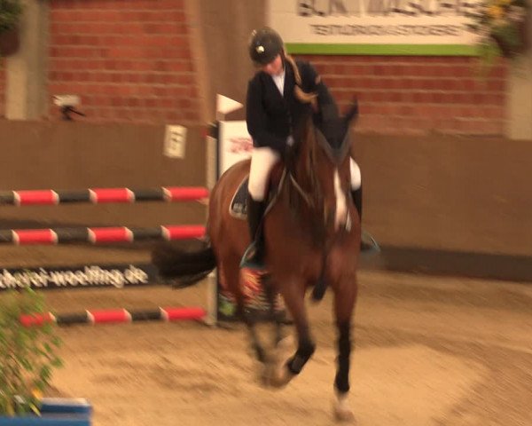 Reitturnier Hüllhorst 2017