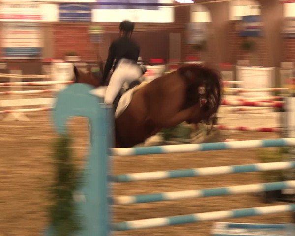 Reitturnier Hüllhorst 2017