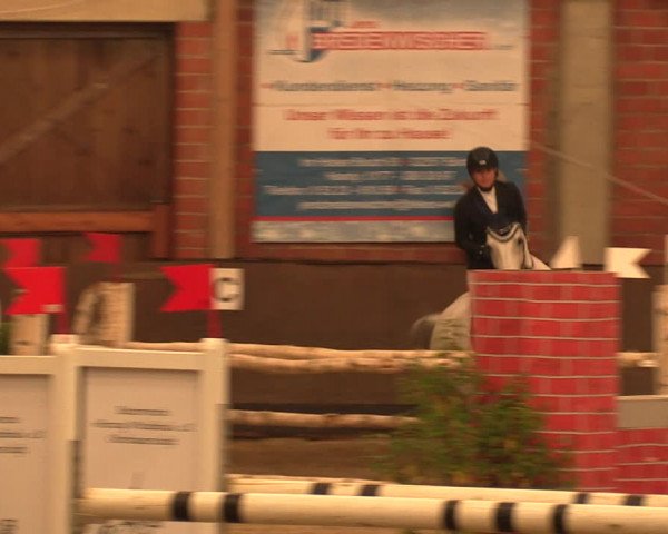 Reitturnier Hüllhorst 2017