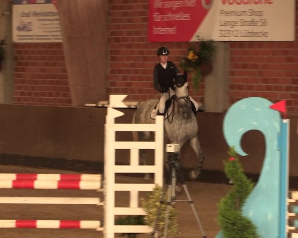 Reitturnier Hüllhorst 2017