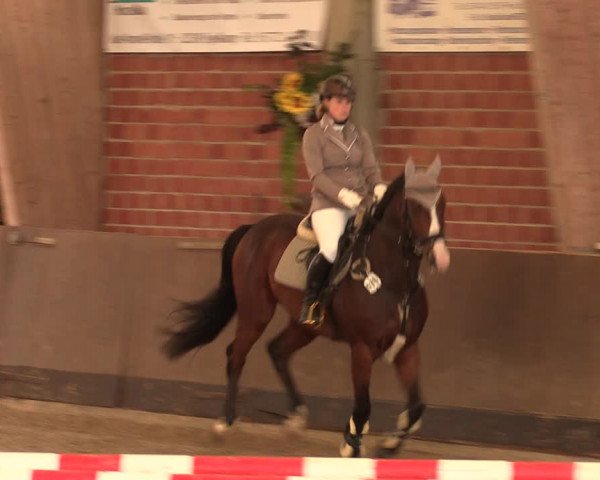 Reitturnier Hüllhorst 2017