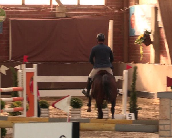 Reitturnier Hüllhorst 2017