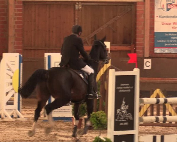 Reitturnier Hüllhorst 2017