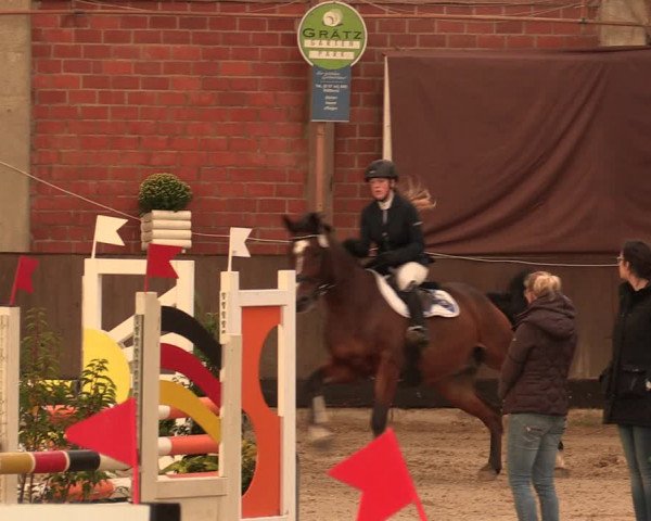 Reitturnier Hüllhorst 2017
