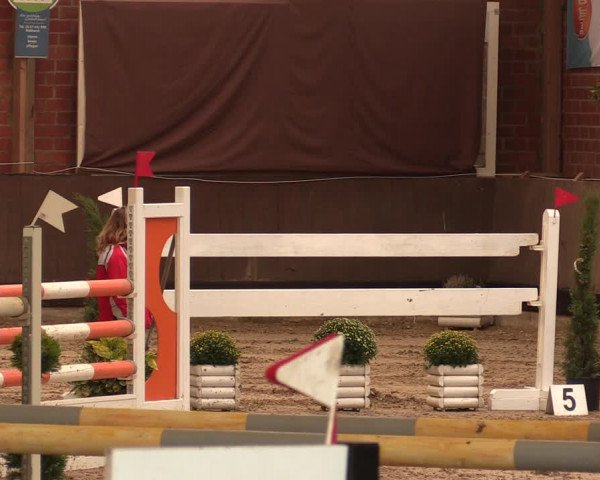 Reitturnier Hüllhorst 2017