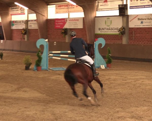 Reitturnier Hüllhorst 2017