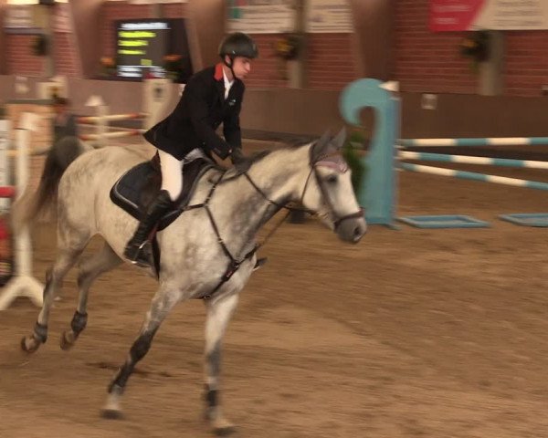 Reitturnier Hüllhorst 2017