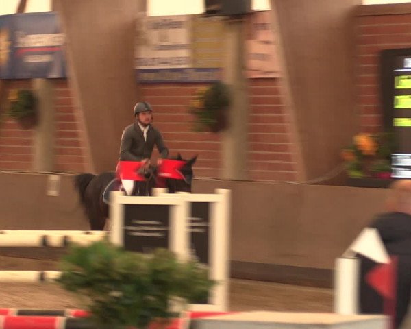 Reitturnier Hüllhorst 2017