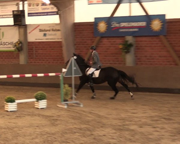 Reitturnier Hüllhorst 2017
