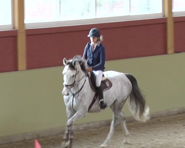 Reitturnier Angermünde OT Zuchenberg 2017