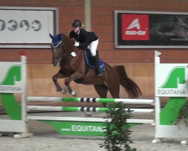 Reitturnier Mönchengladbach-Wickrath 2017