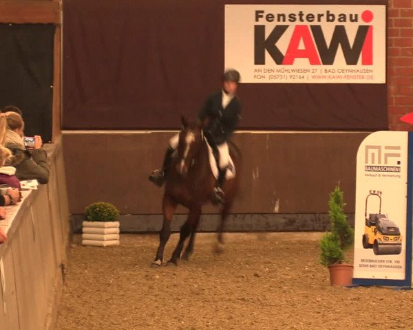 Reitturnier Hüllhorst 2017