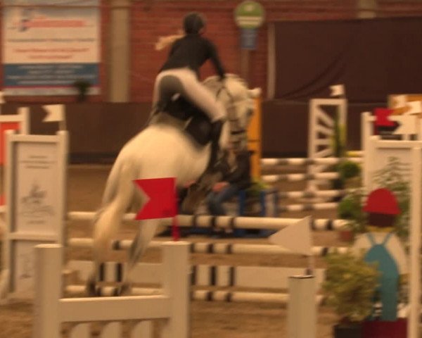 Reitturnier Hüllhorst 2017