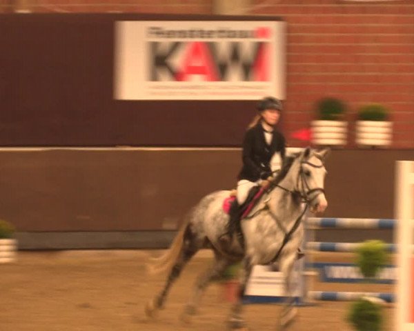 Reitturnier Hüllhorst 2017