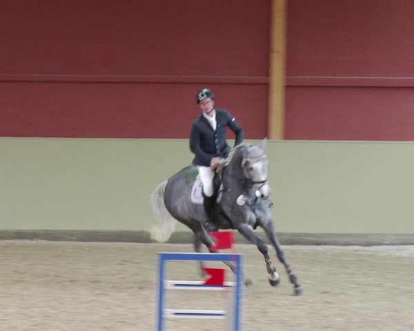 Reitturnier Angermünde OT Zuchenberg 2017