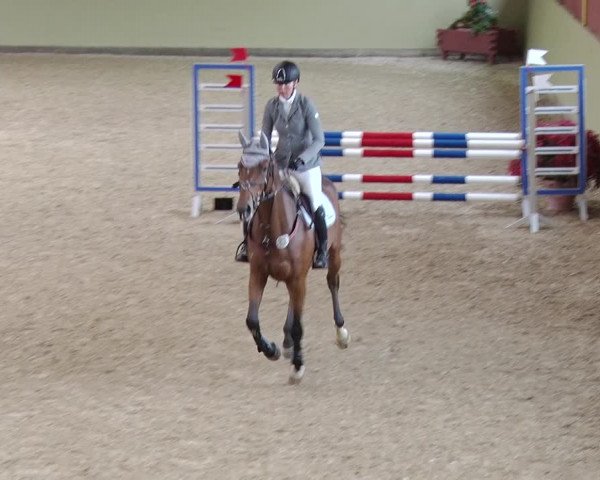 Reitturnier Angermünde OT Zuchenberg 2017