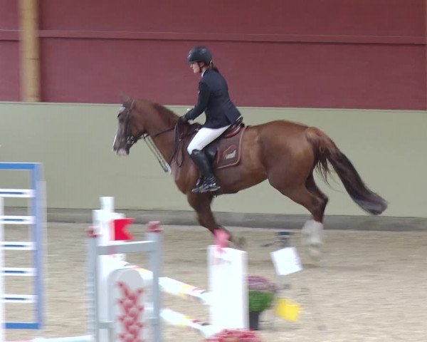 Reitturnier Angermünde OT Zuchenberg 2017