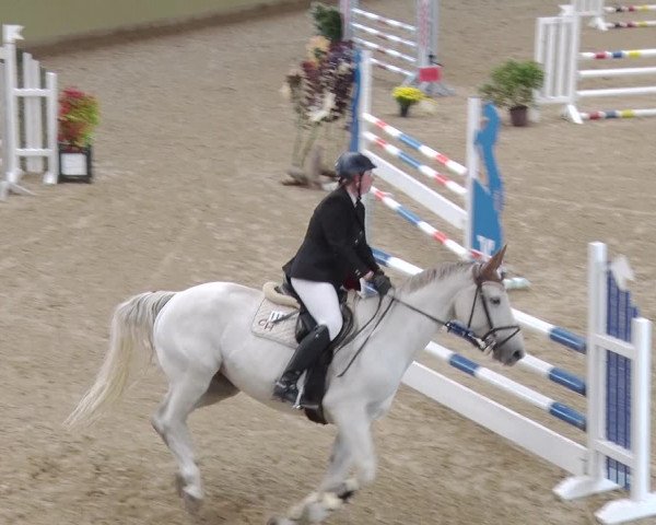 Reitturnier Angermünde OT Zuchenberg 2017