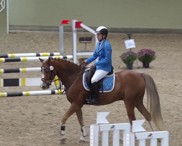 Reitturnier Angermünde OT Zuchenberg 2017