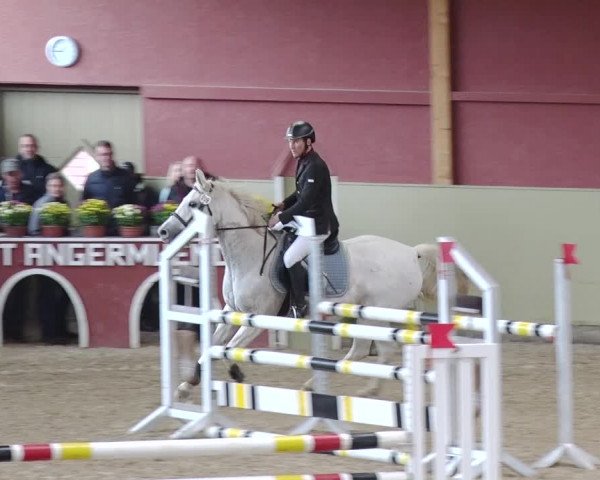Reitturnier Angermünde OT Zuchenberg 2017