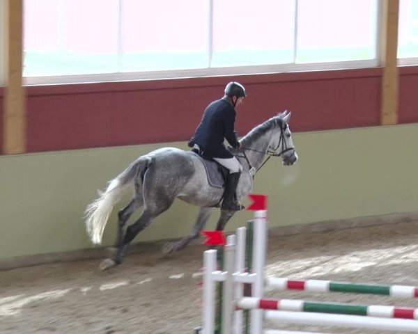 Reitturnier Angermünde OT Zuchenberg 2017