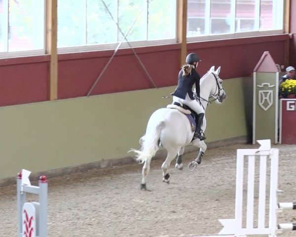 Reitturnier Angermünde OT Zuchenberg 2017